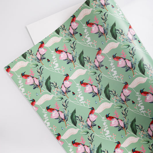 Bluebird - Gift Wraps