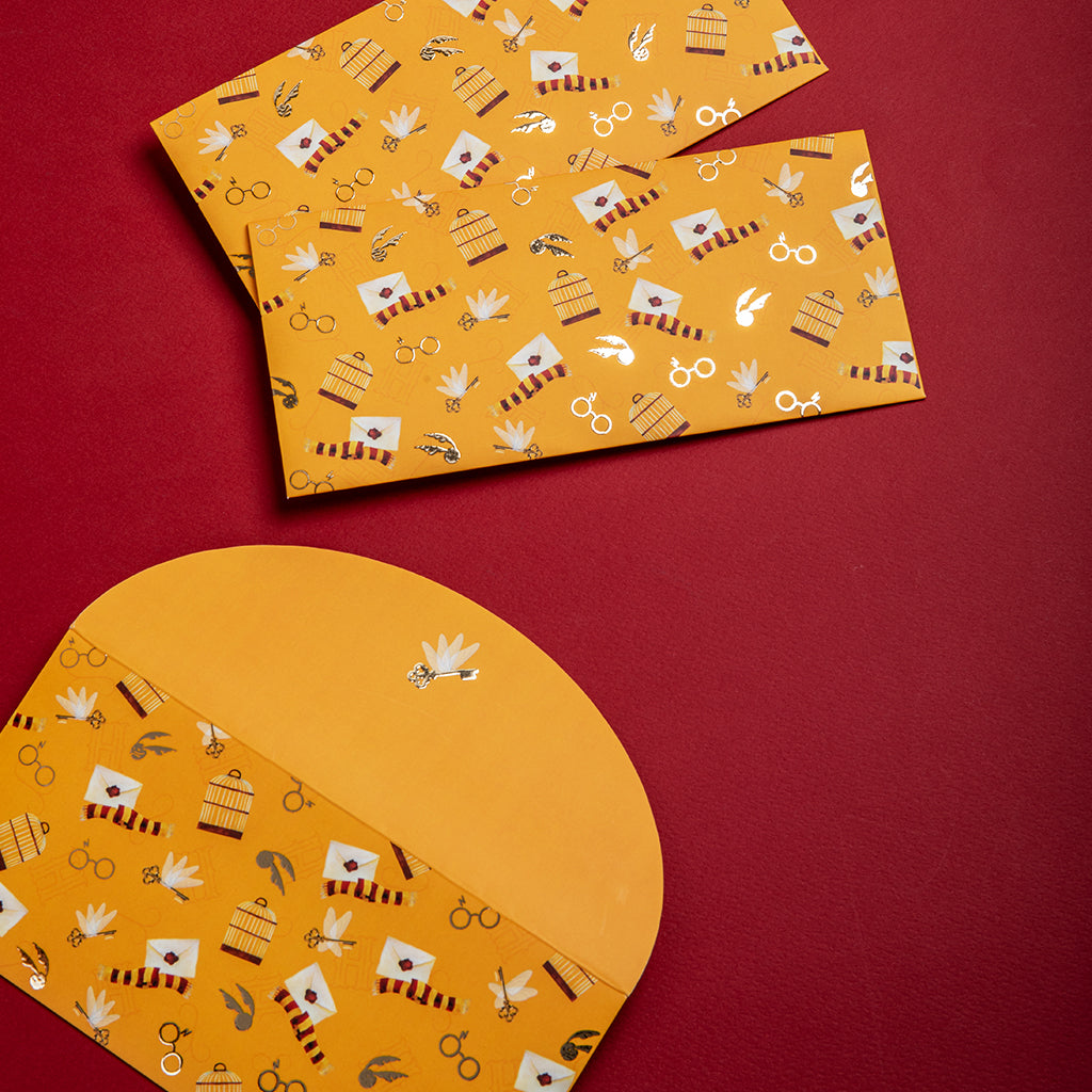 HARRY POTTER - Money Envelopes